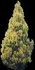 TREE20.mtb