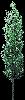 TREE24.mtb