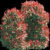 TREE26.mtb