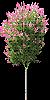 TREE31.mtb