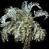 TREE32.mtb