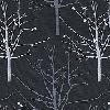 SGｶｰﾃﾝN001.mtb