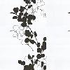 KSｶｰﾃﾝR092.mtb